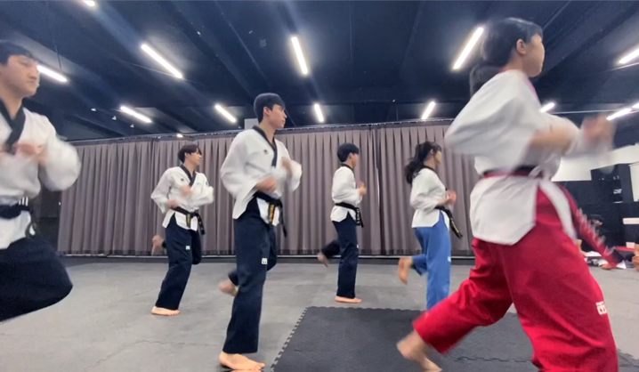시범단소개